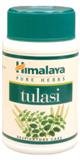 tulsi tulasi